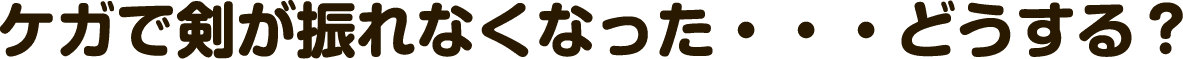 ケガで剣が振れなくなった・・・どうする？